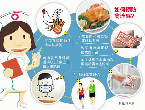 厦门：市民避免接触活禽 商家不卖鸡鸭改卖鸡蛋