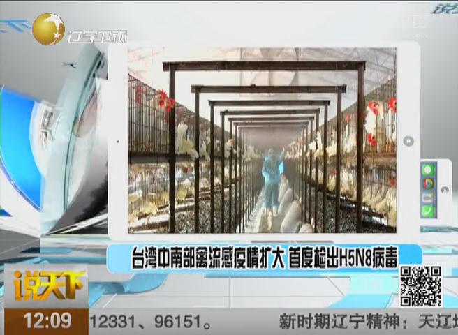 台湾爆发H5N8禽流感 候鸟就可传播！