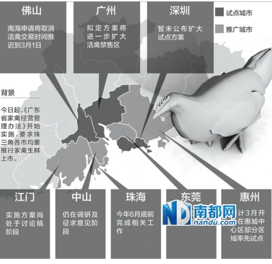 今日起，《广东省家禽经营管理办法》开始实施，要求珠三角各市均要推行家禽生鲜上市。但昨日南都记者了解到，三个试点城市中，广州、佛山将进一步扩大活禽禁售区，其他各市则未公布具体方案。