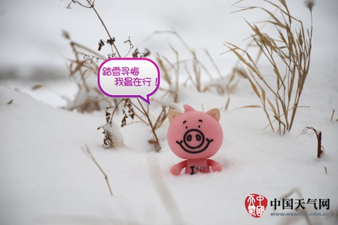 入冬来最大范围雨雪袭中东部 湘黔有冻雨