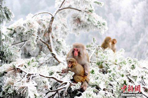 西南地区持续雨雪 华北东北迎大风降温
