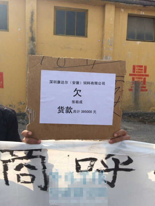 中国养殖网 www.chinabreed.com