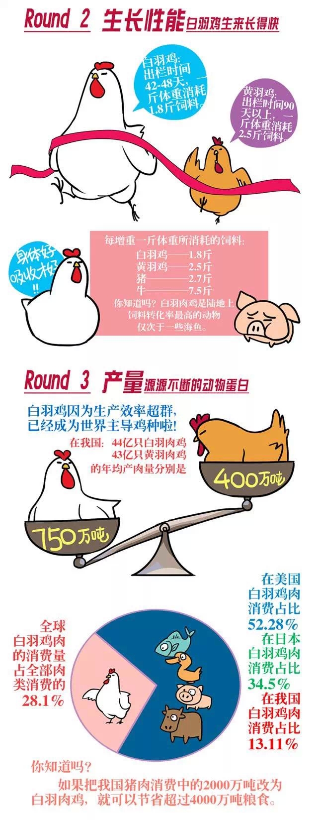 一张图看懂白羽肉鸡黄羽肉鸡差别