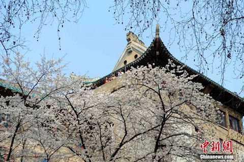 东北气温有望破20℃ 京津冀持续有霾