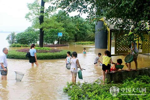 长江中下游地区降雨增强 【5省】迎暴雨