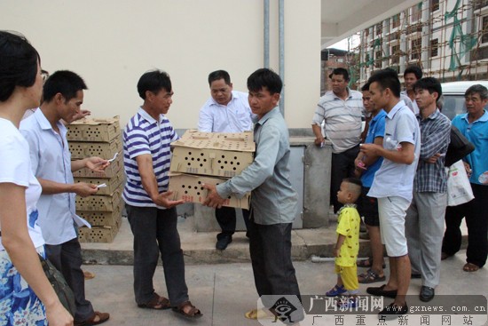 邕宁区那楼镇贫困残疾户喜获助残扶贫鸡鸭苗