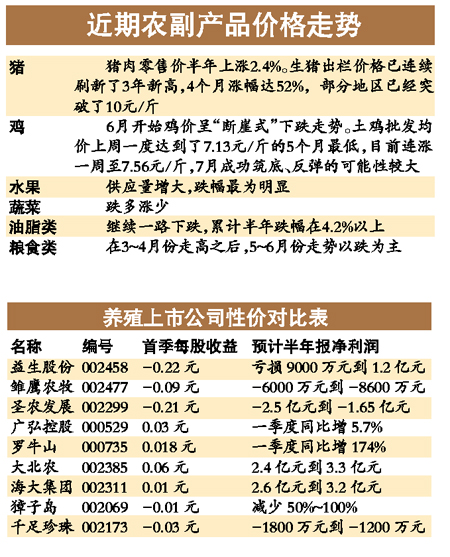 生猪出栏价4个月涨五成 奔10元/斤创3年新高