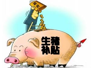 一项生猪补贴令广东8县畜牧局长纷纷落马