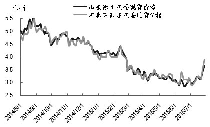 最近，鸡蛋期货主力1509合约表现抢眼，7月中旬以来价格自最低点3843元/500千克一路涨至本周二的最高点4470元/500千克，上涨幅度高达16.3%。我们认为，此轮鸡蛋上涨主要受现货季节性上涨带动，但鸡蛋基本面并没有发生根本性改变，近月合约4500元/500千克附近阻力较大，投资者须警惕鸡蛋高位运行风险，不宜追涨。