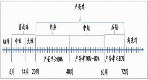 方正中期(中报):供应预期好转