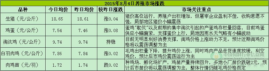 鸡评图片.png