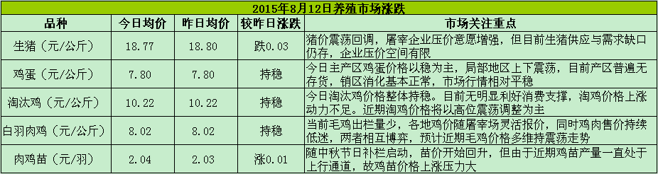 鸡评图片.png