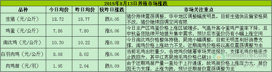 鸡评图片.png