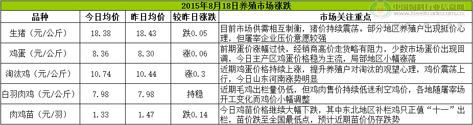 鸡评.png