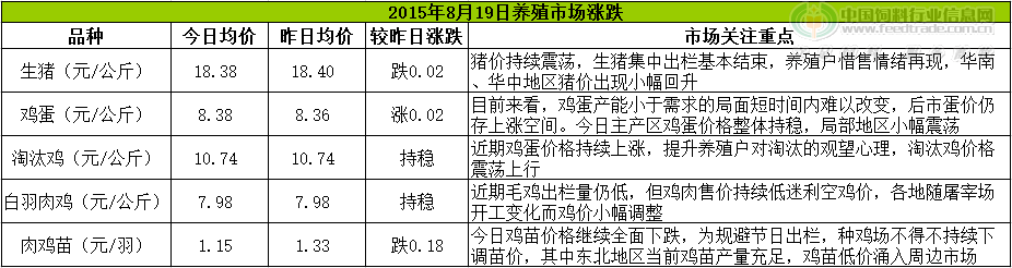 鸡评.png