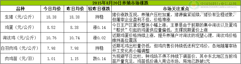 鸡评.png