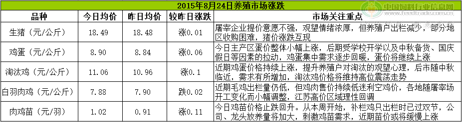 鸡评.png