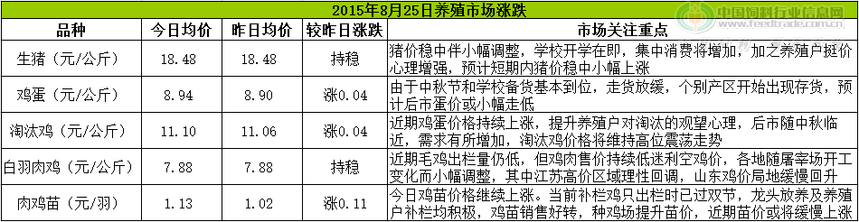 鸡评.png