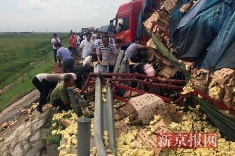 山东运禽货车高速路上倾翻数万只小鸡遭村民哄抢