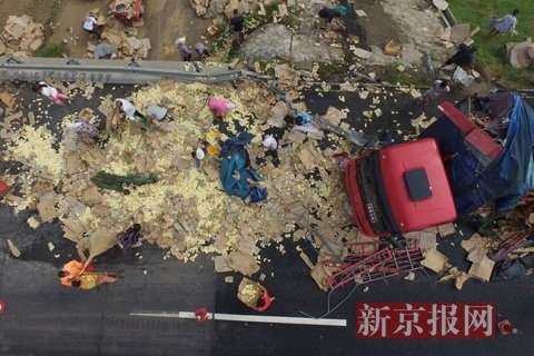 山东运禽货车高速路上倾翻数万只小鸡遭村民哄抢