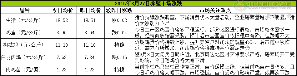 鸡评.png