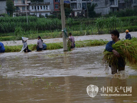 华南局地大暴雨 华北降雨增强多地中雨
