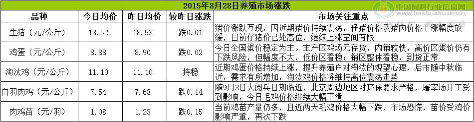 鸡评.png