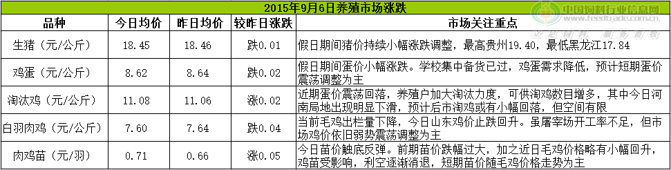 鸡评.png