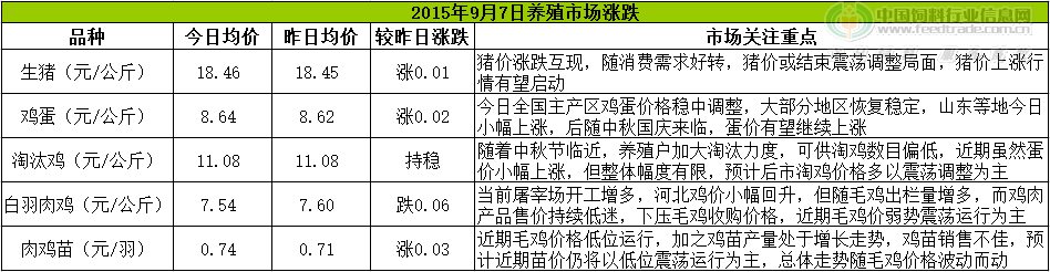 鸡评.png