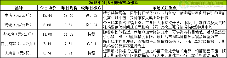 鸡评.png