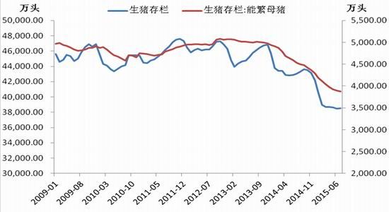 中国国际:临储退出预期下的玉米操作策略