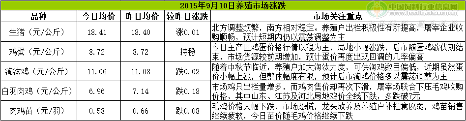 鸡评.png