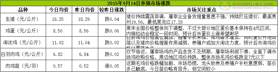 鸡评.png