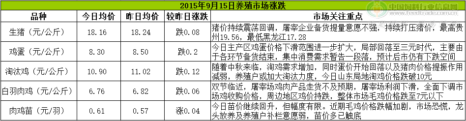 鸡评.png