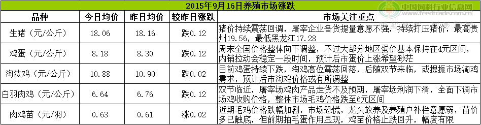 鸡评.png