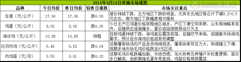 鸡评.png