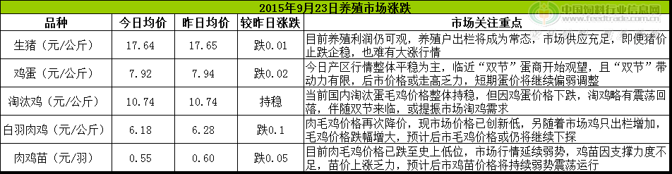 鸡评.png