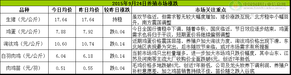 鸡评.png