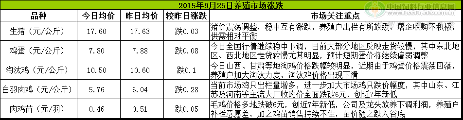 鸡评.png