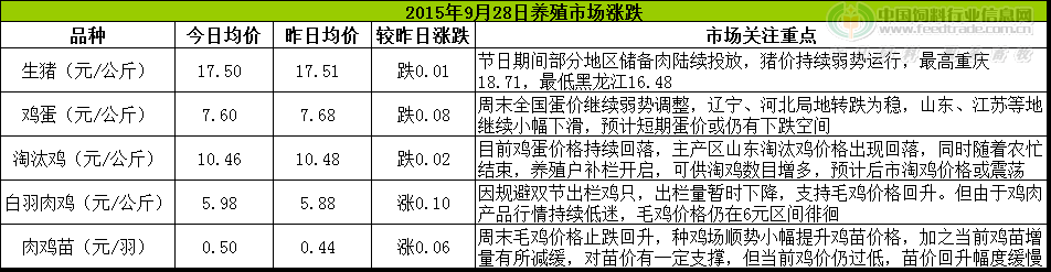 鸡评.png