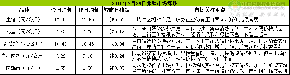 鸡评.png