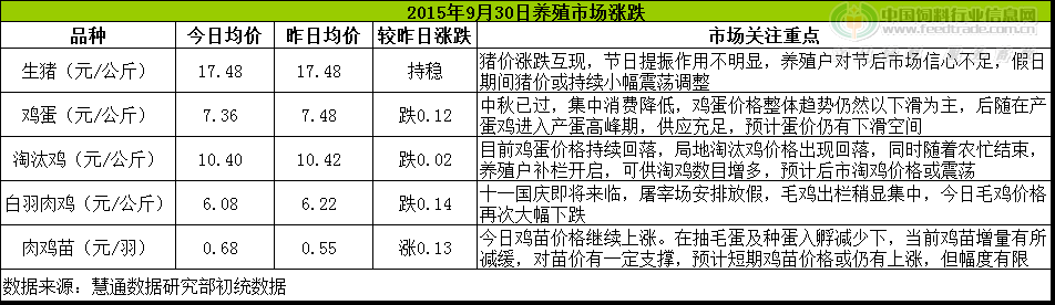 鸡评.png