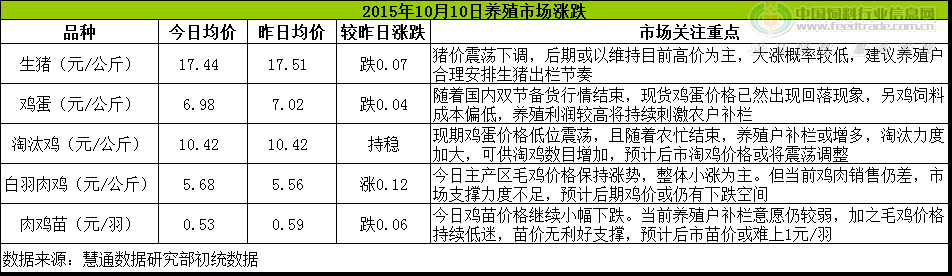 鸡评.png