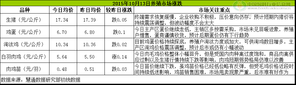 鸡评.png