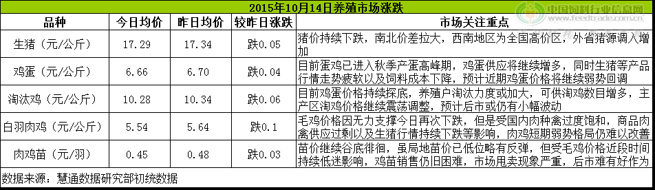 鸡评.png
