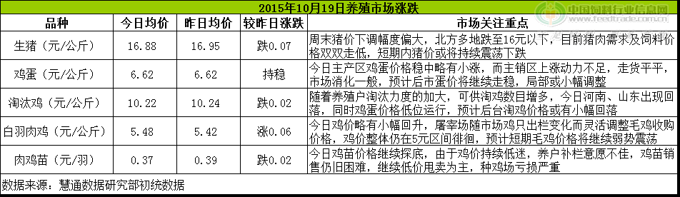 鸡评.png