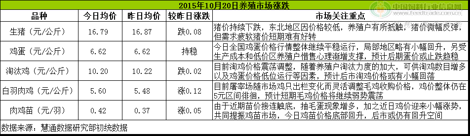鸡评.png
