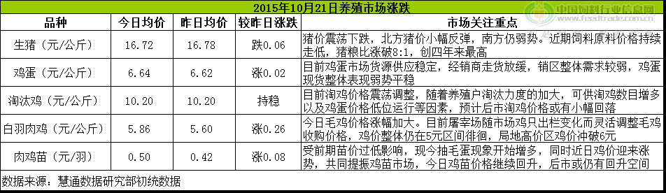 鸡评.png