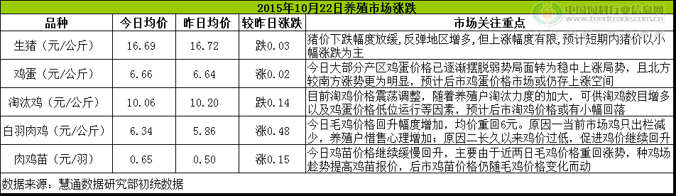 鸡评.png