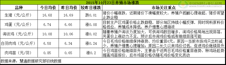 鸡评.png